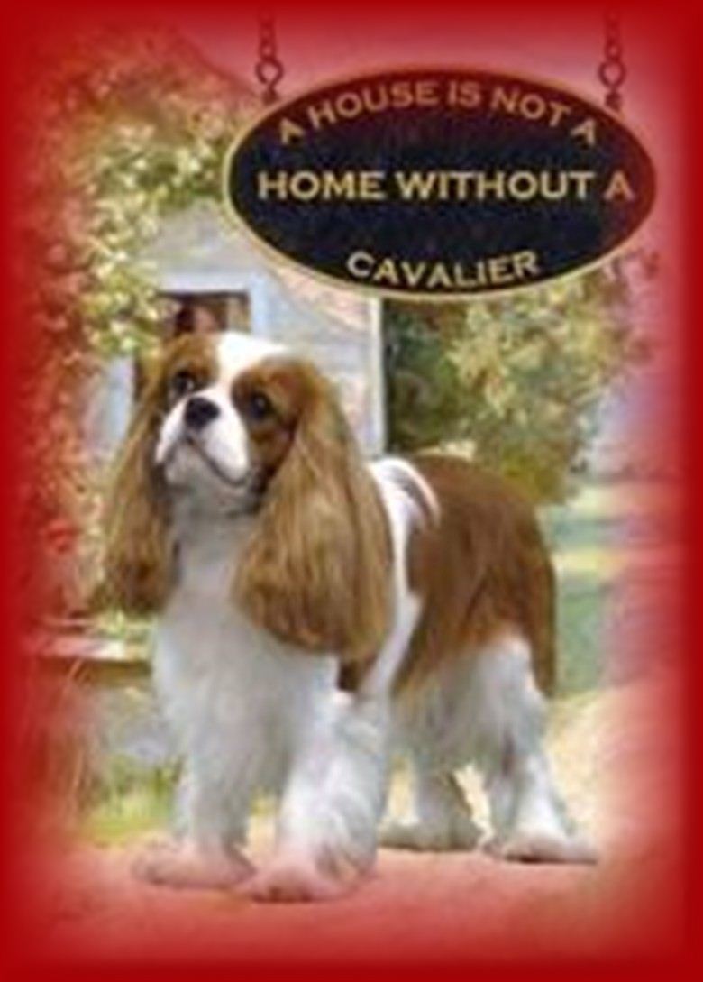 Home Sweet Home Cavalier King Charles Spaniels